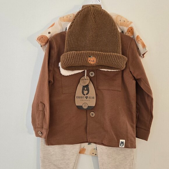 Rabbit bear organic fall pumpkin harvest baby boys 4 piece set 12m - Picture 1 of 12